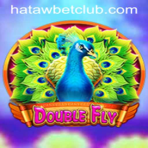 Exploring the Exciting World of DoubleFly: A Deep Dive into Hatawbet's Latest Sensation